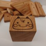 sugi-005